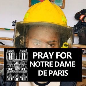 Meet your Posher, Warren